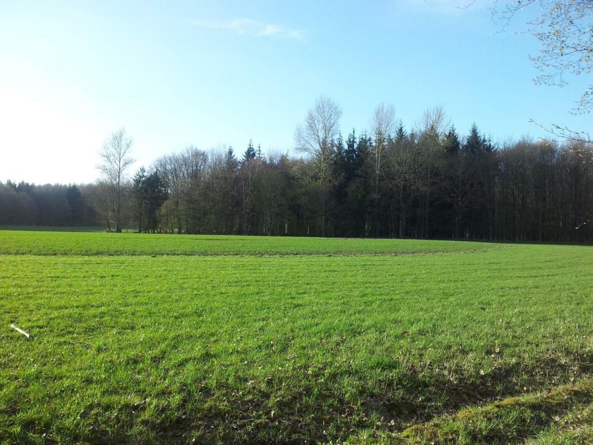 Moin, Moin & Ahoi! Apartment Kiel Luaran gambar